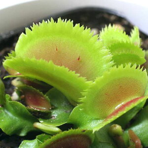 iHAjnGg\E@uXggD[X@2D5`3i1|bgjixԁj