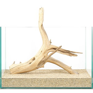 _@㎿؁@T@45cmp@850310@֓