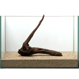 _@htgEbh@45cmp@853964@֓