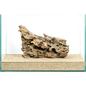 _@45cmp@njJEbh@854217@֓