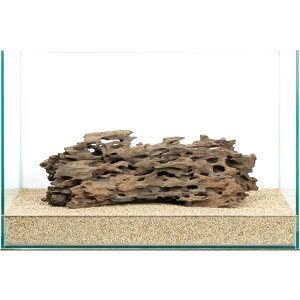 _@45cmp@njJEbh@854220@֓