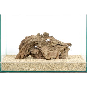 _@45cmp@njJEbh@854221@֓