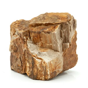 形状お任せ　木化石　Lサイズ（約15〜20cm）　1個　アクアリウム　テラリウム　レイアウト素材　関東当日便