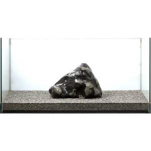 _@ɊC΁@e΁@^p@857675@֓