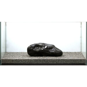 _@ɊC΁@e΁@^p@857681@֓