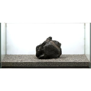 _@ɊC΁@e΁@^p@857689@֓