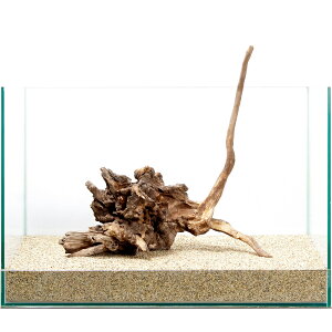 _@fBA[z[Ebh@45cmp@858898@֓