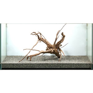 _@WAEbh@^p@858928@֓