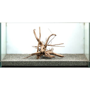 _@WAEbh@^p@858932@֓