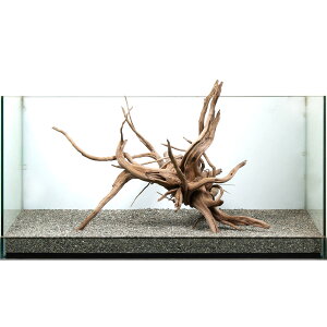 _@WAEbh@^p@858934@֓