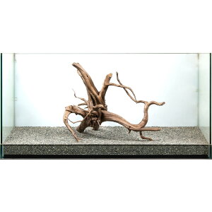 _@WAEbh@^p@858936@֓