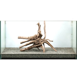 _@WAEbh@^p@858937@֓