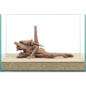 _@㎿؁@@45cmp@859192@֓