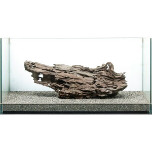 _@^p@njJEbh@859207@֓