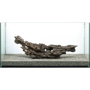 _@^p@njJEbh@859211@֓