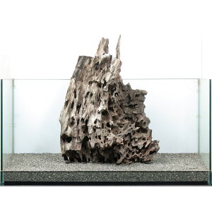 _@^p@njJEbh@859214@֓