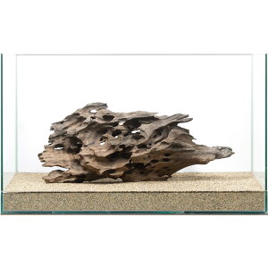 _@60cmp@njJEbh@859257@֓