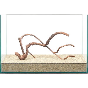 _@ɏ㗬؁@45cmp@859322@֓