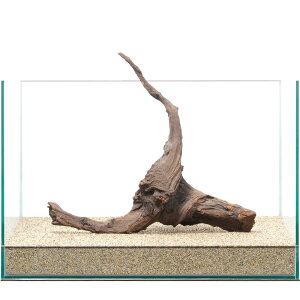 _@htgEbh@45cmp@859409@֓