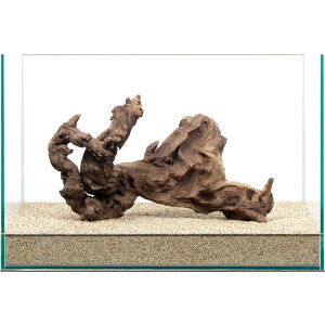 _@TSEbh@45cmp@859420@֓