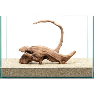 _@㎿؁@@45cmp@859434@֓