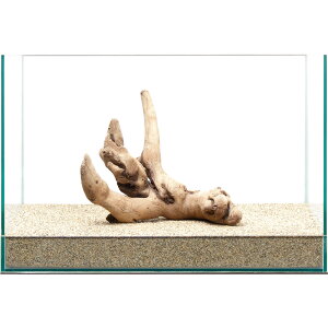 _@㎿؁@@45cmp@859452@֓