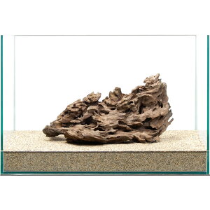 _@njJEbh@45cmp@859459@֓