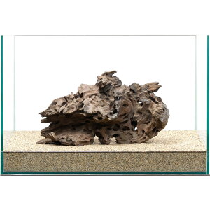 _@njJEbh@45cmp@859468@֓