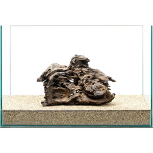 _@njJEbh@45cmp@859475@֓