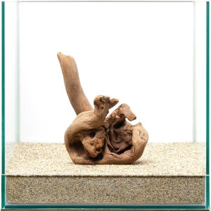 _@㎿؁@@30cmp@859698@֓