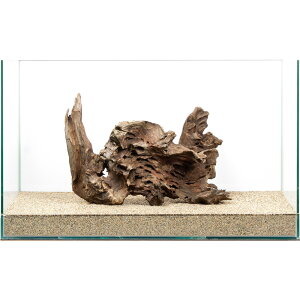 _@60cmp@EF[uEbh@859724@֓