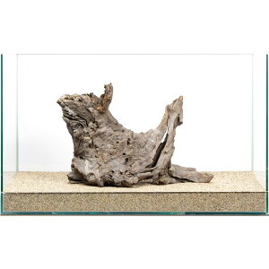 _@60cmp@EF[uEbh@859727@֓