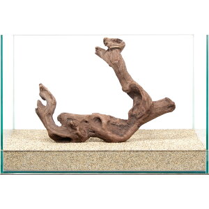 _@㎿؁@@45cmp@859751@֓