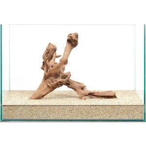 _@㎿؁@@45cmp@859778@֓