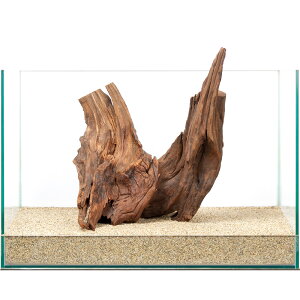 _@㎿htgEbh@45cmp@859838@֓