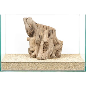 _@X^vEbh@45cmp@859847@֓