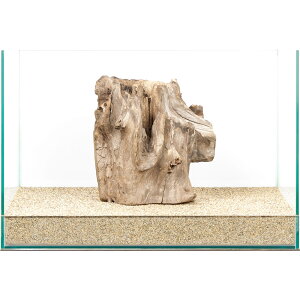 _@X^vEbh@45cmp@859849@֓