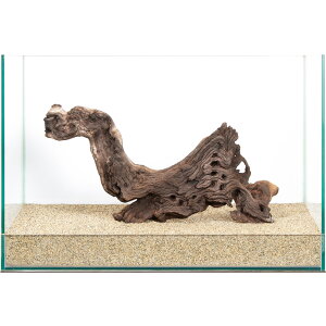 _@plEbh@45cmp@859944@֓