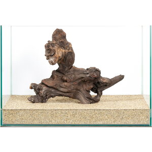 _@plEbh@45cmp@859954@֓