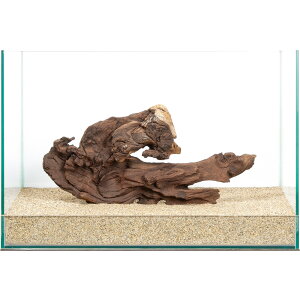 _@plEbh@45cmp@859955@֓