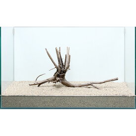 楽天市場 レイアウト 流木 60cm水槽の通販