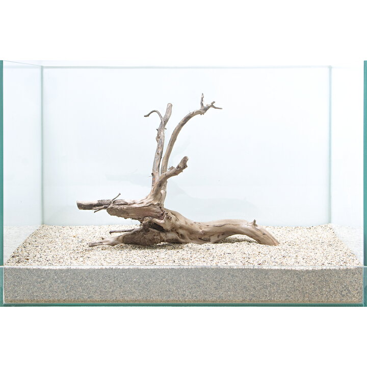 楽天市場 一点物 ブランチ流木 45cm水槽用 864427 関東当日便 Charm 楽天市場店 楽天市場 一点物 ブランチ流木 45cm水槽用 864427 関東当日便 Charm 楽天市場店