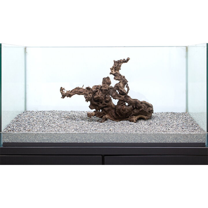 楽天市場 一点物 サンゴウッド 大型水槽用 ８６５６１１ 関東当日便 Charm 楽天市場店