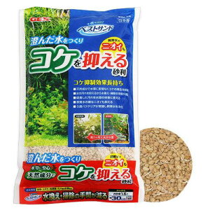 GEX@xXgTh@1D5L@WFbNX@֓