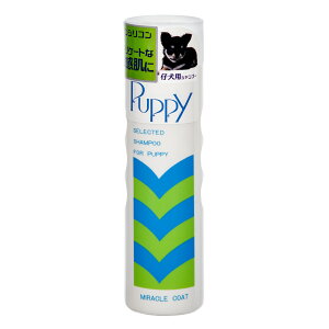 j`hE@~NR[g@ps[iepj400mL@@Vv[@֓