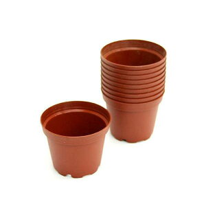 @v|bg@6cm@@^Cv@10Zbg@֓