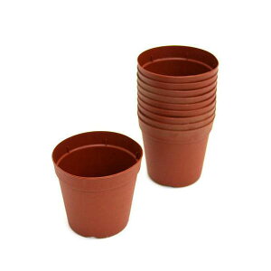 @v|bg@7D5cm@@^Cv@10Zbg@֓