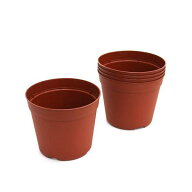 鉢　プラポット　14．5cm　茶　穴ありタイプ　5個セット　関東当日便