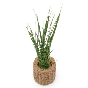 ijCt}`ijwA[OX@V[gitji_ji1j