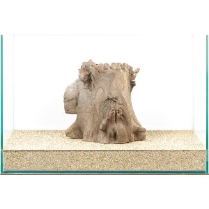 _@X^vEbh@45cmp@880000@֓